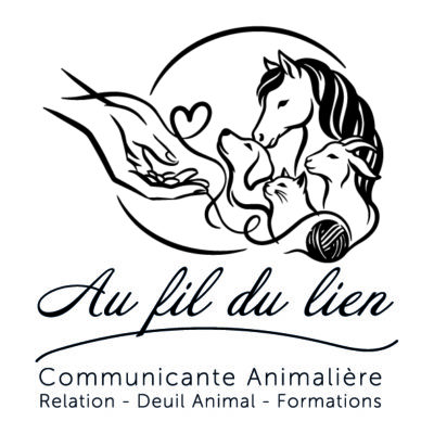 Au Fil Du Lien