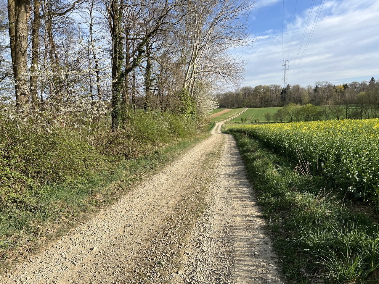 Chemin de campagne à Xhos dans le Condroz liégeois au printemps – Escapade créative Passeport pour Soi